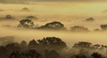 Áreas Protegidas na Amazônia Brasileira: avanços e desafios