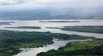 An alternative approach for detecting and monitoring selectively logged forests in the Amazon.