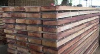 Large-scale impoverishment of Amazonian forest by logging and fire.