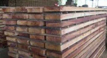 The Amazon timber sector: market and challenges.