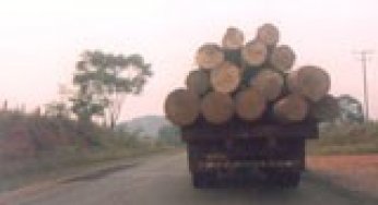 Rural transport in eastern Amazônia: limitations, options, and opportunities.