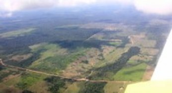 Mapping forest degradation in the Amazon region with Ikonos images.