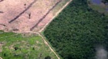 Use of Formosat-2 satellite imagery to detect near real time deforestation in Amazonia.
