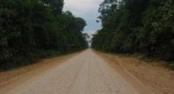 The Fragmentation of Space in the Amazon Basin: Emergent Road Networks