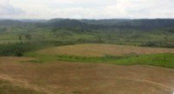 Biophysical and spatiotemporal characterization of degraded forests in the Brazilian Amazon through remote sensing.
