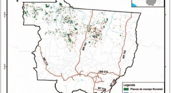 Boletim Transparência Manejo Florestal do Mato Grosso (2010-2011)