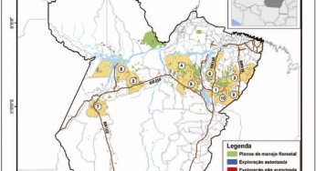 Boletim Transparência Manejo Florestal Estado do Pará (2010 a 2011)
