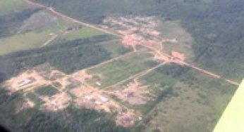 Brazil forests in the balance: challenges of conservation with development.