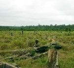 combate a crimes ambientais em areas 150x138 - Combate a crimes ambientais em Áreas Protegidas no Pará