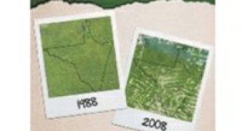 Como prevenir e punir infrações ambientais em áreas protegidas na Amazônia?