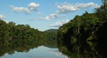 Sugestões para o envolvimento da comunidade jurídica na discussão sobre Redução de Emissões por Desmatamento e Degradação Florestal (REDD)