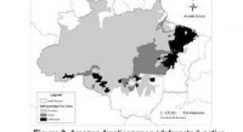 Deforestation and Poverty: Evidence of boom-bust development in the Brazilian Amazon.