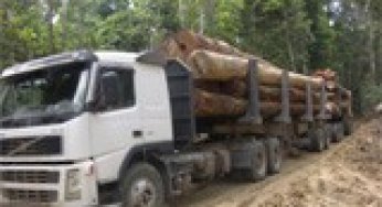 Avaliação de Planos de Manejo Florestal na Amazônia através de imagens de satélites Landsat