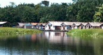 Defining the Institutional Arrangement and Identifying Relevant Stakeholders to Form the Advisory Council of Paru State Forest,in the Brazilian Amazon Forest
