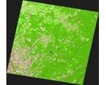 congresso7 150x120 - Caracterização da dinâmica de garimpos na região do Tapajós com imagens Landsat.