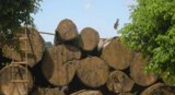 Avanços do sensoriamento remoto para o monitoramento da exploração madeireira na Amazônia.