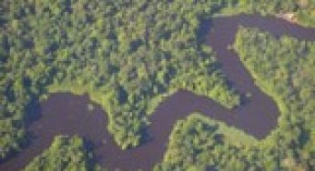 Conexões entre responsabilização ambiental na Amazônia e combate à mudanças climáticas: um estudo de caso em Mato Grosso.