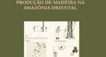 Custos e Benefícios do Manejo Florestal para a Produção de Madeira na Amazônia Oriental (n° 10)