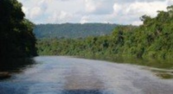 Defining the Institutional Arrangement and Identifying Relevant Stakeholders to Form the Advisory Council of Paru State Forest,in the Brazilian Amazon Forest