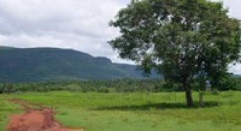 Deforestation in Protected Areas in the Brazilian Amazon: the case of Rondonia.