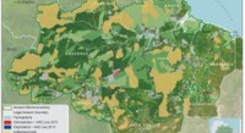 Deforestation Report (SAD) July 2013