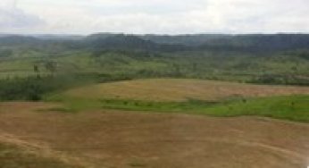 Human Pressure in the Brazilian Amazon.