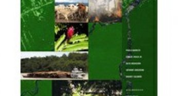 Human Pressure on the Brazilian Amazon Forests