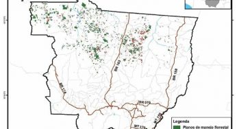ONGs querem Amazônia como prioridade no próximo governo
