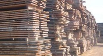 Hitting the Target: Timber Consumption in the Brasilian Domestic Market and Promotion of Forest Certification.
