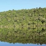 image5 150x150 - Plano de Manejo da Floresta Estadual de Faro