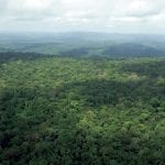 image61 150x150 - Plano de Manejo da Floresta Estadual do Paru
