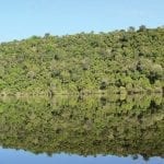 image71 150x150 - Resumo Executivo do Plano de Manejo da Floresta Estadual de Faro