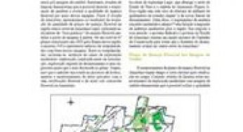 Imagens de Satélite para Avaliar Planos de Manejo Florestal
