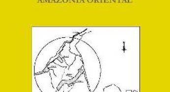 Impactos da Garimpagem de Ouro na Amazônia (n° 2)