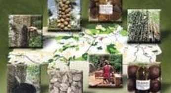 Iniciativas de Manejo Florestal Comunitário e Familiar na Amazônia Brasileira 2009/2010