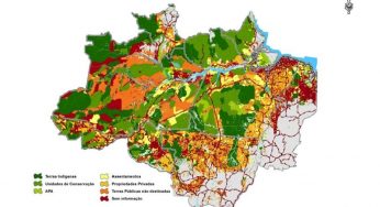 O Aumento no Desmatamento na Amazônia em 2013: um ponto fora da curva ou fora de controle?