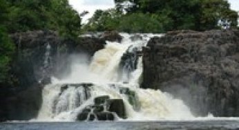 Monitoramento do Desmatamento em Áreas Protegidas no Pará