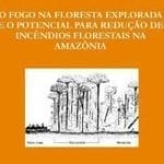 o fogo na floresta p 150x150 - O Fogo na Floresta Explorada e o Potencial para a Redução de Incêndios Florestais na Amazônia (n°14)