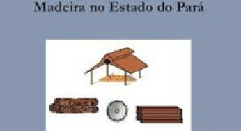 O Rendimento no Processamento de Madeira no Estado do Pará (n° 18)
