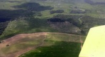 Os riscos e os princípios para a regularização fundiária na Amazônia