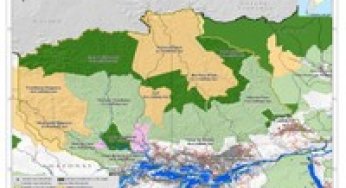 Potencial Econômico nas Florestas Estaduais da Calha Norte