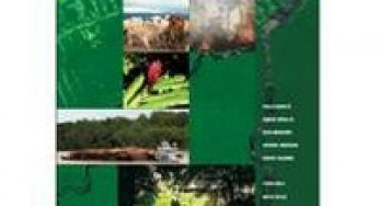 Pressão humana na floresta amazônica brasileira