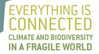 Reducing emissions from deforestation at municipal level: a case study of Paragominas, Eastern Brazilian Amazon