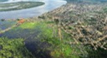 Risco de Desmatamento Associado à Hidrelétrica de Belo Monte
