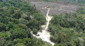 Brazil data suggests spike in Amazon deforestation