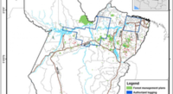 Forest Management Transparency Report – State of Pará (2009 – 2010)