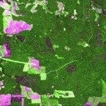 tecnico101 150x150 - Avaliação de imagens Landsat para identificação e extração de estradas madeireiras