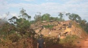 The Amazon Frontier Advance: from boom to bust.