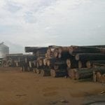 the expansion of logging 150x150 - The Expansion of Logging in the Brazilian Amazon.