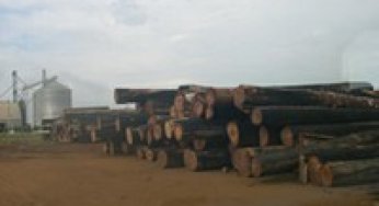 The Expansion of Logging in the Brazilian Amazon.